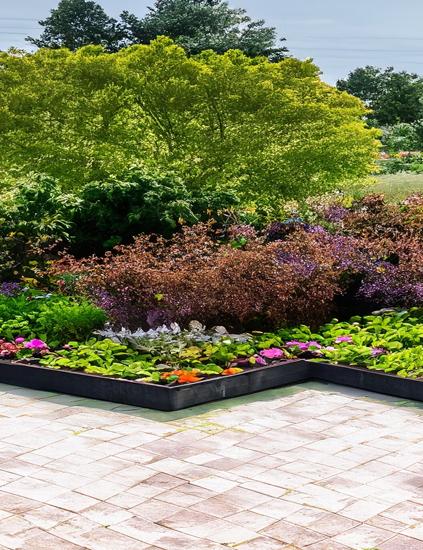 Creating A Vastu-Compliant Garden : Tips For Natural Harmony