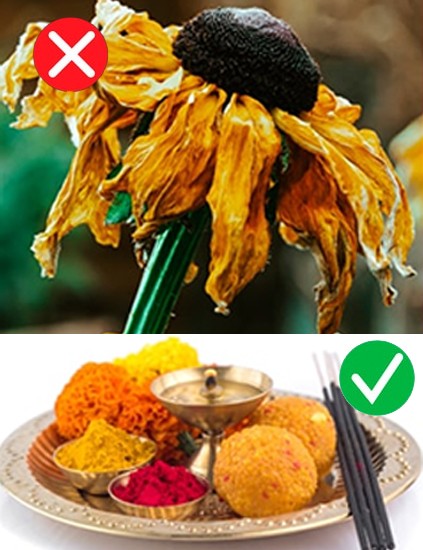 Unveiling The Path To Harmony : Common Vastu Mistakes To Avoid