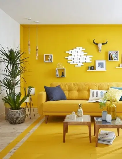 Vastu Colors for Home: What Each Direction Actually Needs